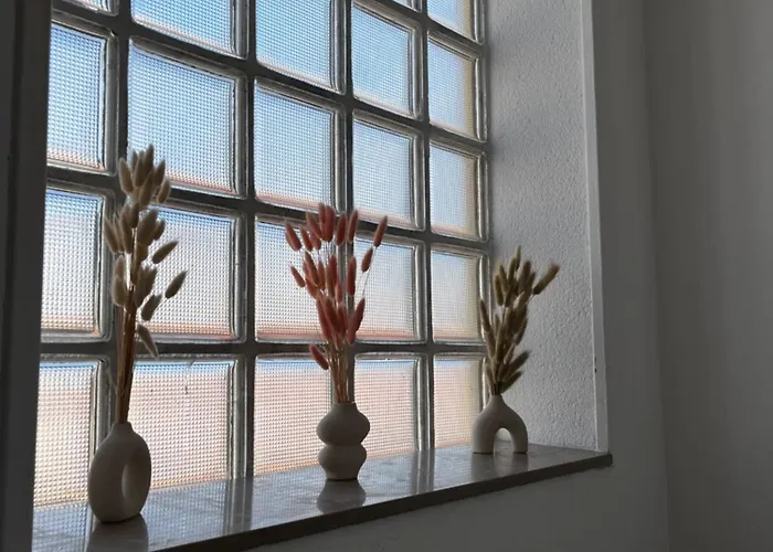 Charmante Maison Canetoise Proche Et Commodites ! *